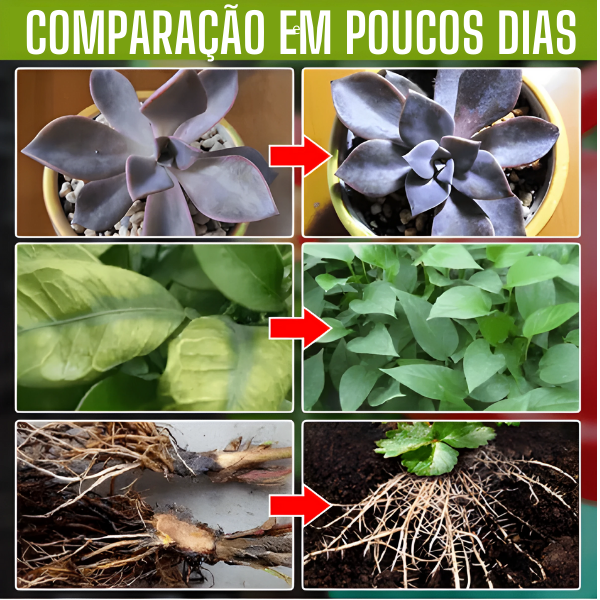 PlantMax - Potencialize seu Jardim | 22 Cápsulas | Frete Grátis